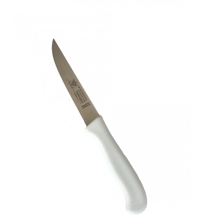 Mutfak Bıçağı 25cm Küçük Boy